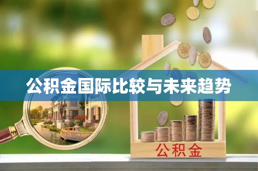 双峰公积金国际比较与未来趋势