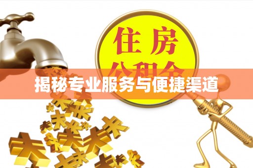 双峰揭秘专业服务与便捷渠道