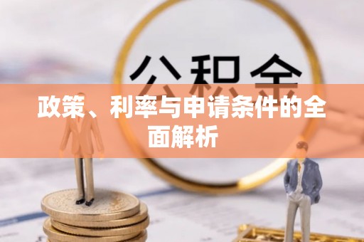 双峰政策、利率与申请条件的全面解析