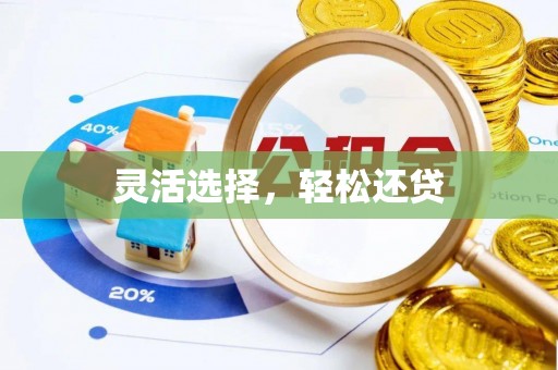 双峰灵活选择，轻松还贷