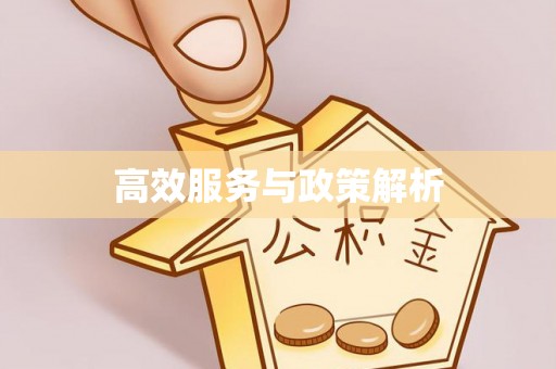 双峰高效服务与政策解析