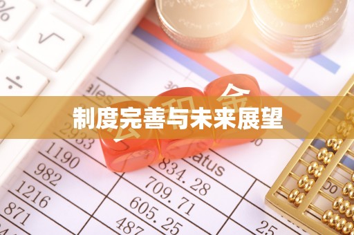 双峰制度完善与未来展望
