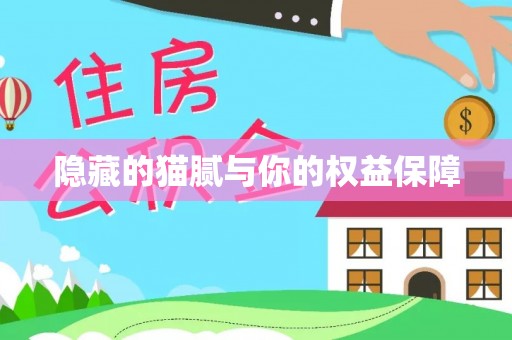 双峰隐藏的猫腻与你的权益保障